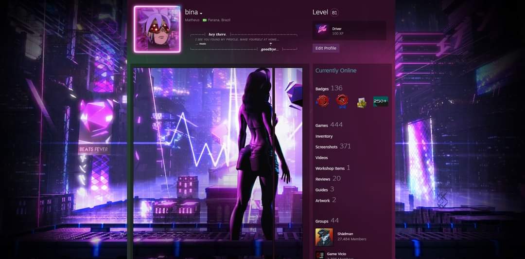 perfil personalizado steam